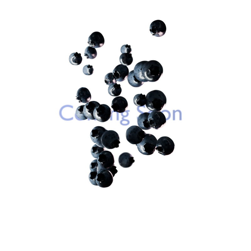 Wild Blueberry